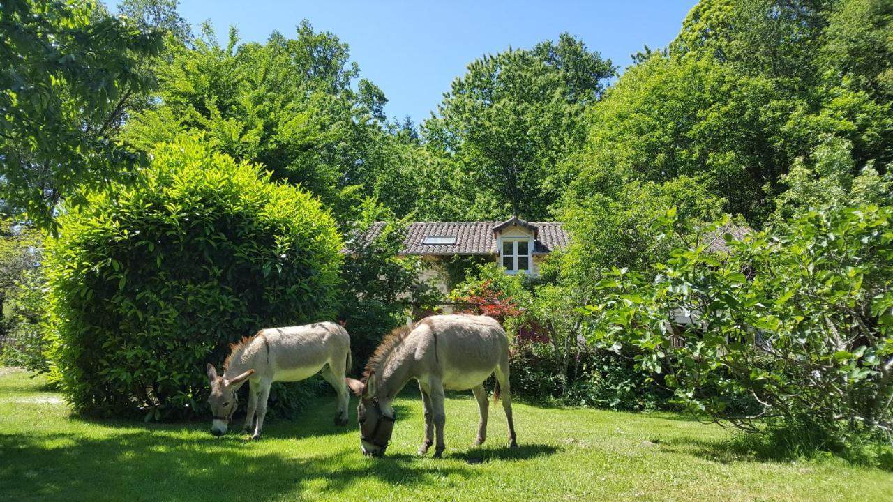 Le Moulin De Pensol - Gites Экстерьер фото