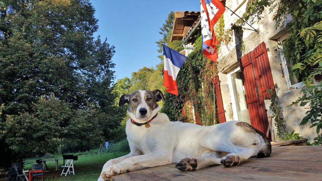 Le Moulin De Pensol - Gites Экстерьер фото